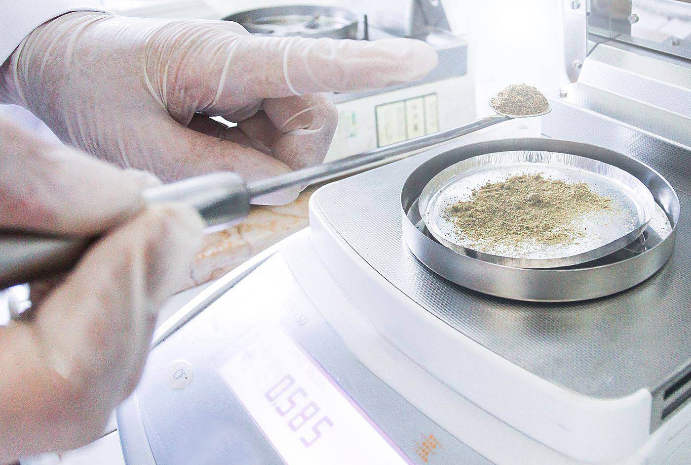 A gloved analyst weighing a ground spice sample on an analytical balance